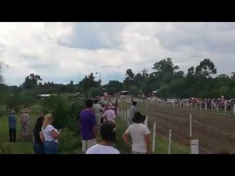 Turf 02 Ganador southern toia (resguardo Cuareim)