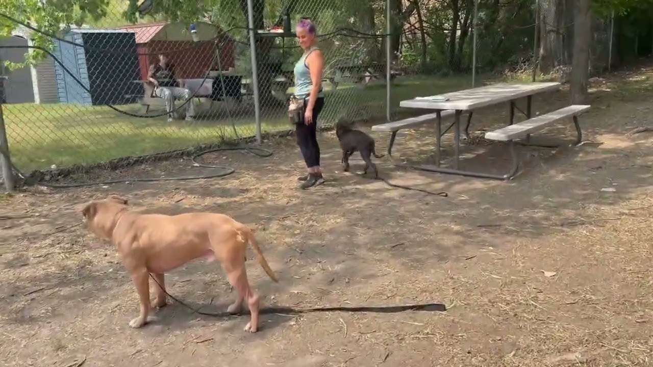 Wrinkles's Video 2