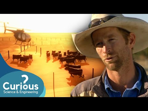 3000 Cattle Are Mustered | FULL EPISODE | Big Australia | Curious?: Science and Engineering