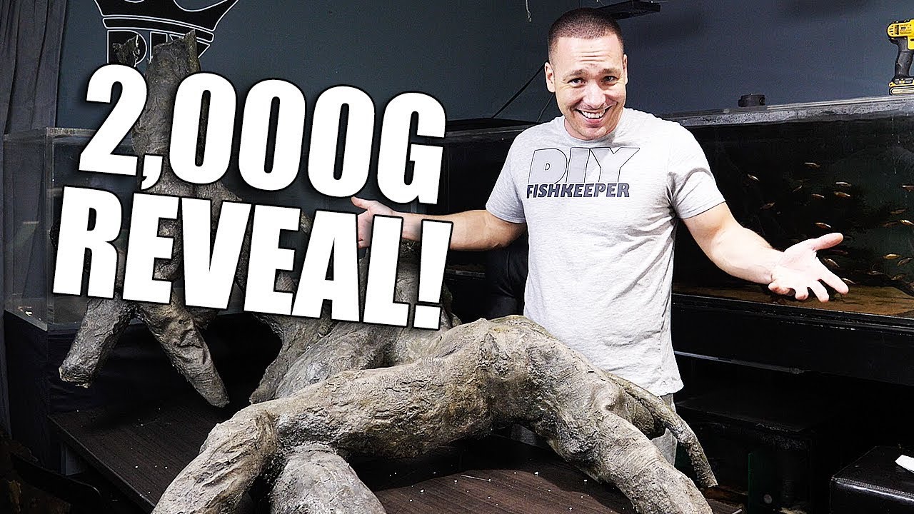 It's EXACTLY what I wanted! 2,000G AQUARIUM scape reveal!!