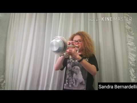 IN MY BLOOD - Shawn Mendes (Trumpet Cover)