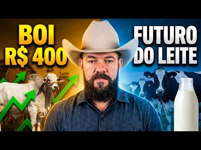 Boi a R$ 400 e o Futuro do Leite: O Que Está em Jogo na Pecuária?