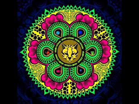 Digitalist vs Ocelot - Controlled Test (HQ)