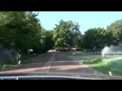 Florida Wild Hogs Adventures The Last Day P2