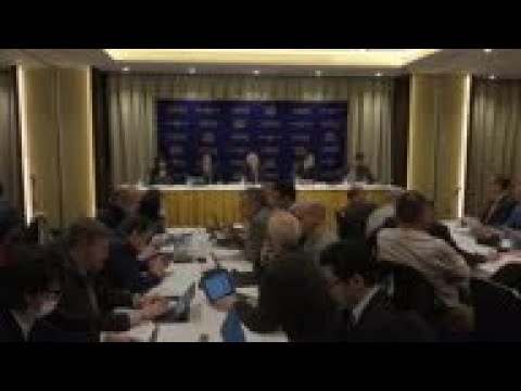 Ghosn lawyer calls case against him 'peculiar'