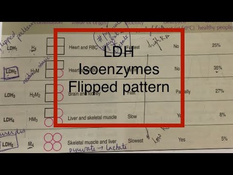 LDH isoenzymes,Lactate dehydrogenase isoenzymes,flipped pattern