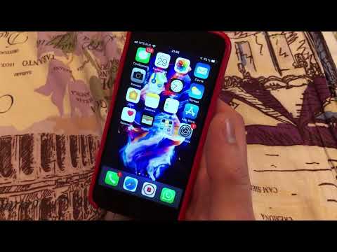 Как установить приложение 1xBet на Iphone. Подробная инструкция