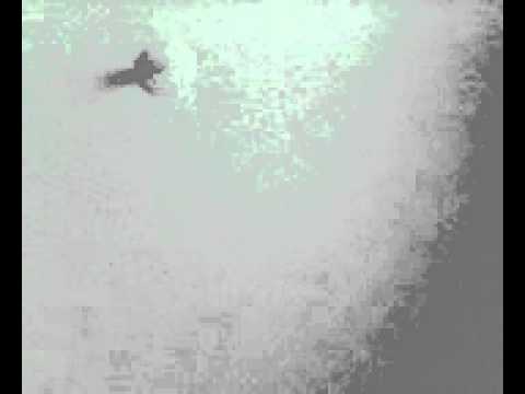 Rihanna Umbrella Camila Sodré e Larissa