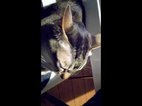 あたしだけを見てて！