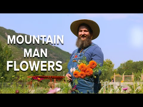 Flower Farm in Zone 4b