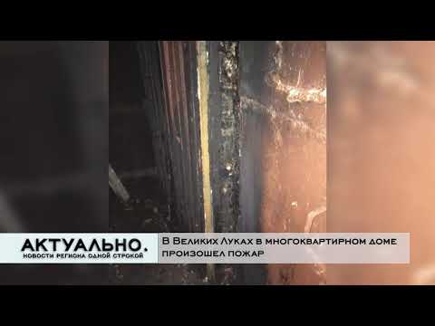 Актуально Великие Луки / 26.11.2020