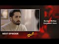 Sher Upcoming Episode 27 Danish Taimoor Sarah Khan 20 August 2025