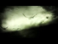 Björk - Gloomy Sunday - Music Video 