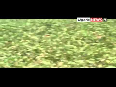 تفجير دبابة لقوات النظام من قبل كتيبة شهداء الجبل الوسطاني في محافظة إدلب