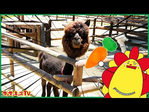 那須高原りんどう湖ファミリー牧場 | 那須高原の牧場ふれあいパーク
