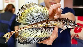 Download lagu Japanese Street Food - DRAGON FISH SASHIMI Sailfin Poacher Japan Seafood mp3