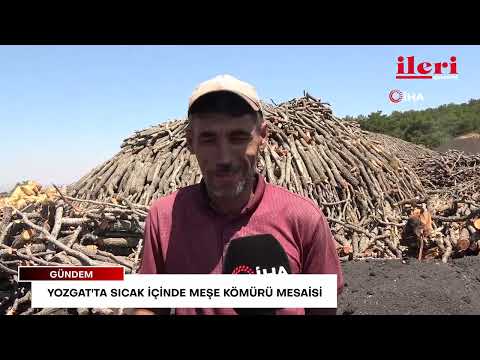 Yozgat'ta sıcak içinde meşe kömürü mesaisi | İleri Gazetesi
