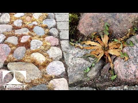 Ogräsbekämpning Tergent OgräsNIX Trippel Effekt