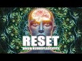 Reset Brain Neuroplasticity Enhancing Cognitive Performance And Learning Theta Waves