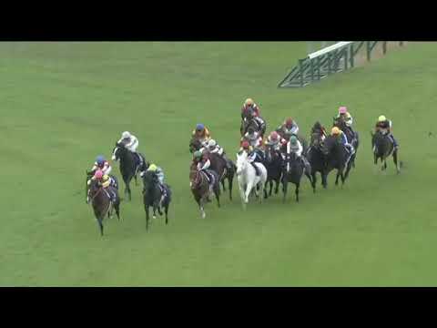 2022.11.20 Mile Championship (JPN) - Serifos