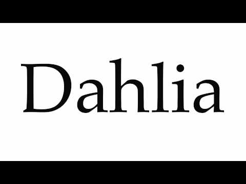 How to Pronounce Dahlia