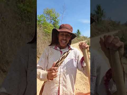 Son Hechos los que transforman; Seguimos trabajando 💪 Gobierno Municipal de Ábrego 2024-2027