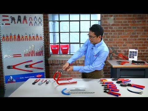 Apa yang harus saya lakukan jika saya memiliki penis kecil Bagaimana mempersiapkan potensi ginseng