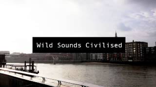 The Ramona Flowers - Lust And Lies