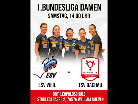 ESV Weil  - TSV Dachau 65     (1. Bundesliga Damen TTBW 25/26)