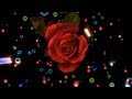 Поздравляем Виолетту с днём рождения - Видео Открытка 