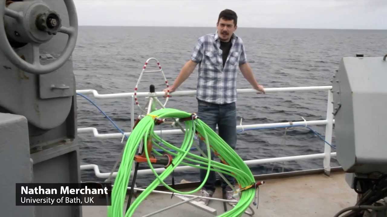 Low Frequency Hydrophone