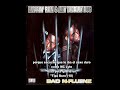 Rappin Ron Ant Diddley Dog All Rapped Up 1995 Subtitulado En Español