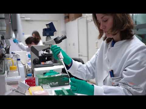 El proyecto Minerva II identifica nuevos biomarcadores que permitirán el desarrollo de fármacos para tratar a pacientes con enfermedades cardiorrenales