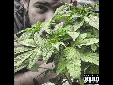 Don Siller - Still Growin' (Ft. GMC Fazoe)