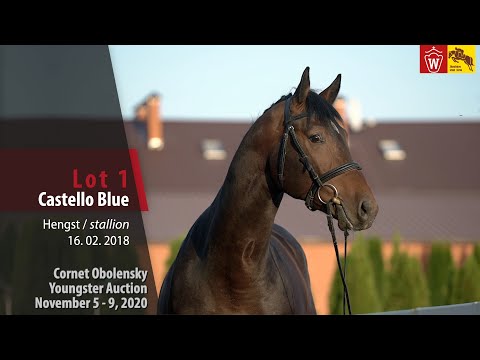 Cornet Obolensky Youngster Auction - Lot 1 Castello Blue - stallion by Cornet Obolensky - Lancer III