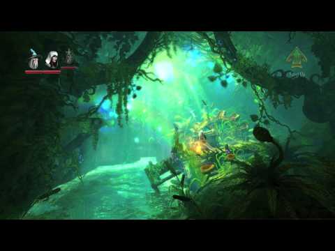Trine 2 - The Co-op Mode
