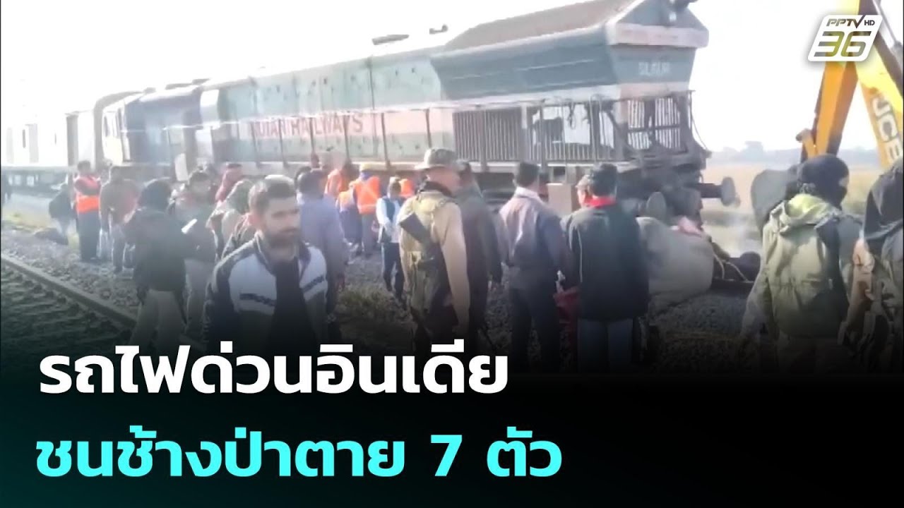 รถไฟด่วนอินเดียชนช้างป่าตาย 7 ตัว | เข้มข่าวค่ำ | 21 ธ.?