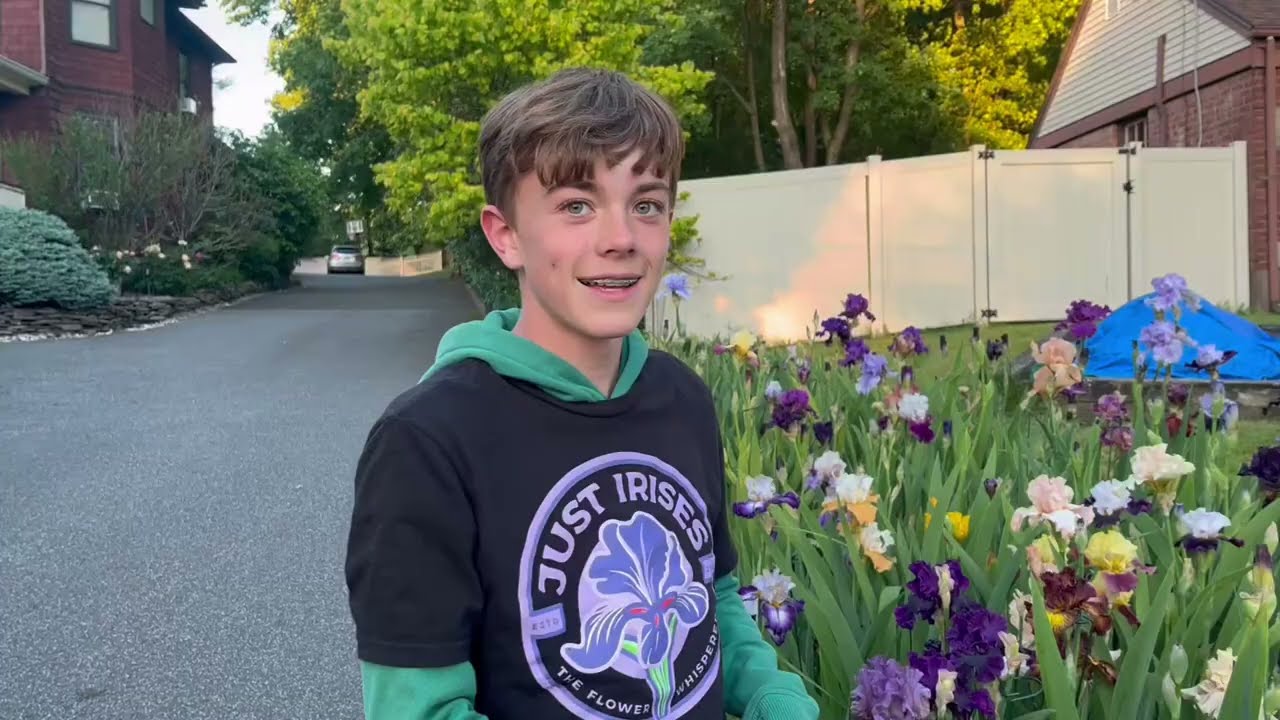 Just Irises Episode 38: Tall Bearded (TB) Iris “Lightning Storm”