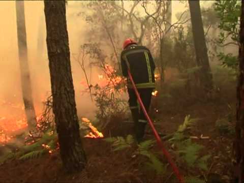 pourquoi entrer dans la fpt