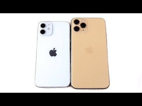 iPhone 12 Mini Size vs iPhone 11 Pro