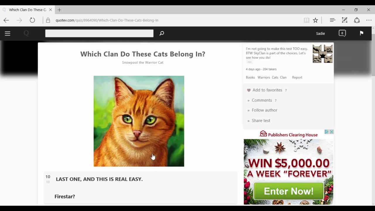 First Vid! Warrior cat quizzes on Quotev