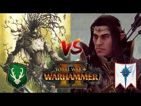 Wood Elves vs High Elves | DURTHU & THE SHADOW KING - Total War Warhammer 2