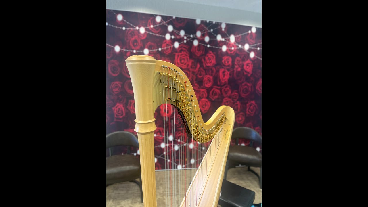 Promotional video thumbnail 5 for Singing harpist