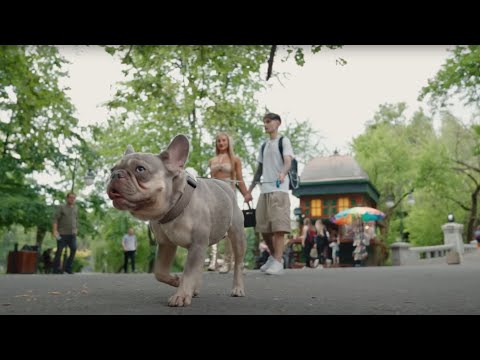 Berechet - AM O GAGICA (Official Video)