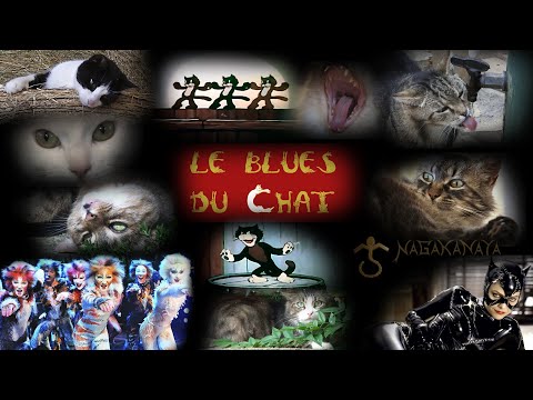 LE BLUES DU CHAT - NAGAKANAYA - Fabrice Vanagar.