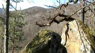 preview picture of video 'Кавказ. Псебай перевалка. Caucasus. Psebay perevalka.'