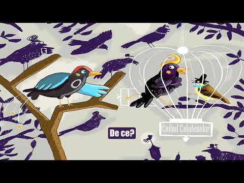 MAGPIE'S NEST after The Little German Town by August von Kotzebue 🎭 Romanian Radio Theater Subtitled