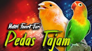 Download lagu kenari vs lovebird mp3