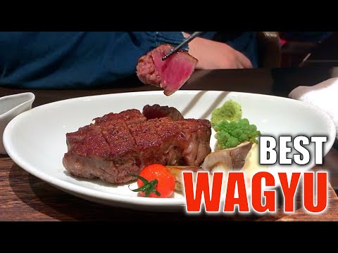 I spent $1000 to find Japan's best Wagyu