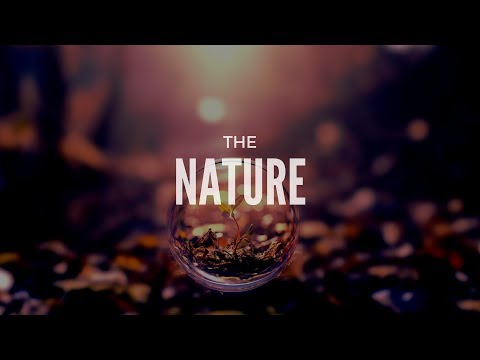 WasylBeatz - Nature / Fresh Chillout Beats !